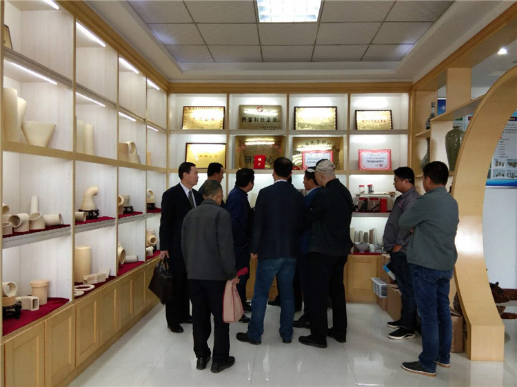 市民營科技企業(yè)協(xié)會專家咨詢團來華光科技參觀考察